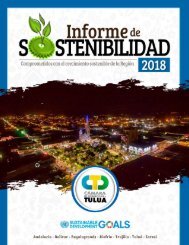 Informe de Sostenibilidad 2018 CCT