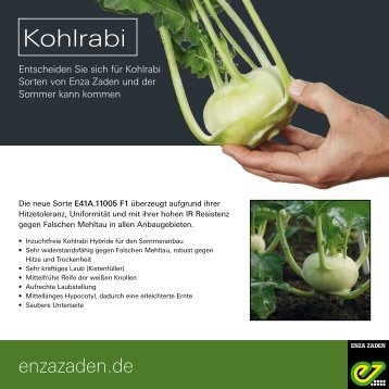 Kohlrabi 2019