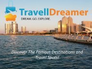 Traveldreamer PPT