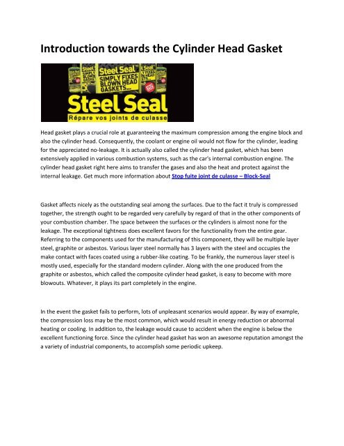 6 Steel Seal