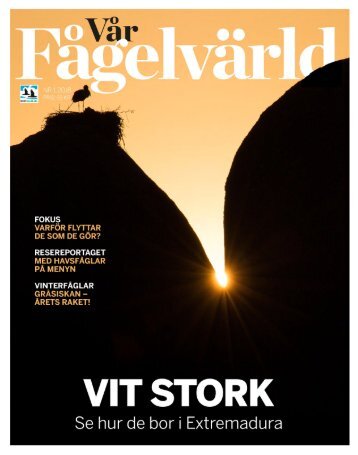 Vår Fågelvärld nr 1 - 2018