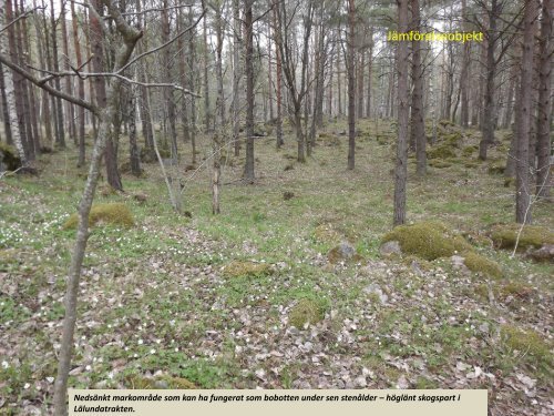 Stenspåren längs Tipptoppvägen  Sven-Inge Windahl 2018 