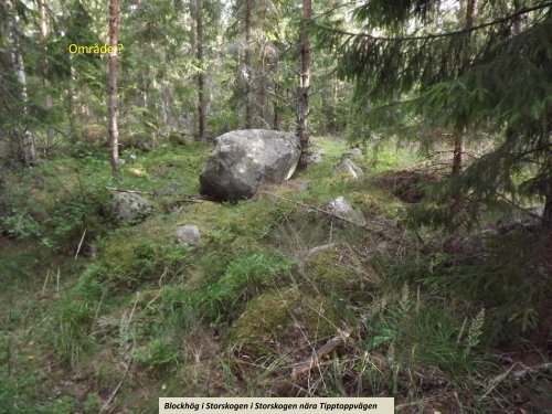 Stenspåren längs Tipptoppvägen  Sven-Inge Windahl 2018 