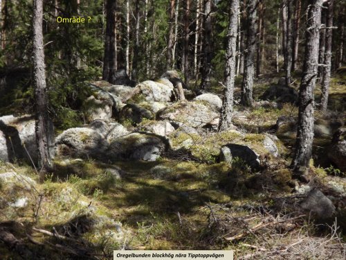 Stenspåren längs Tipptoppvägen  Sven-Inge Windahl 2018 