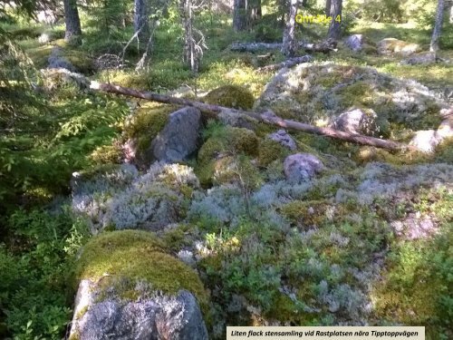 Stenspåren längs Tipptoppvägen  Sven-Inge Windahl 2018 