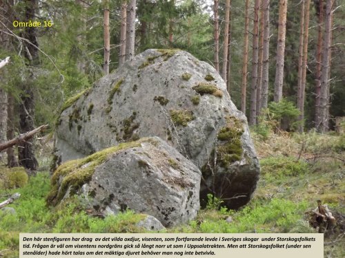 Stenspåren längs Tipptoppvägen  Sven-Inge Windahl 2018 