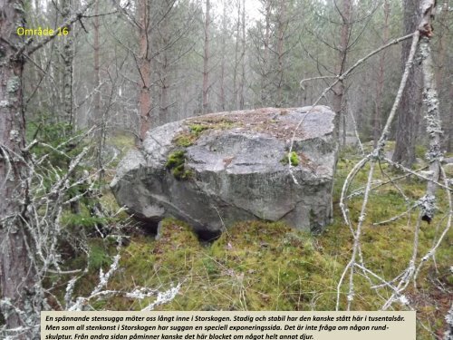 Stenspåren längs Tipptoppvägen  Sven-Inge Windahl 2018 