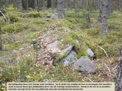 Stenspåren längs Tipptoppvägen  Sven-Inge Windahl 2018 