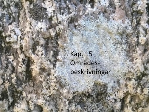 Stenspåren längs Tipptoppvägen  Sven-Inge Windahl 2018 