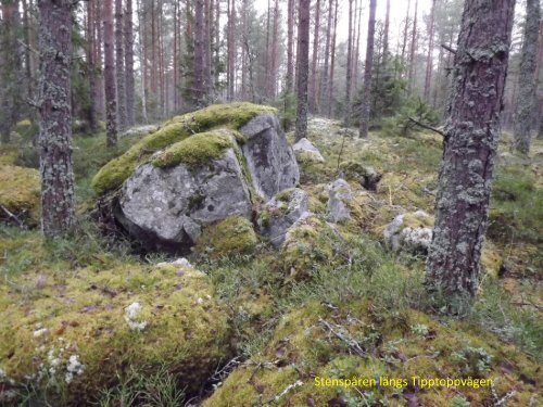 Stenspåren längs Tipptoppvägen  Sven-Inge Windahl 2018 