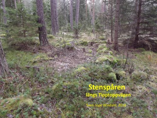 Stenspåren längs Tipptoppvägen  Sven-Inge Windahl 2018 