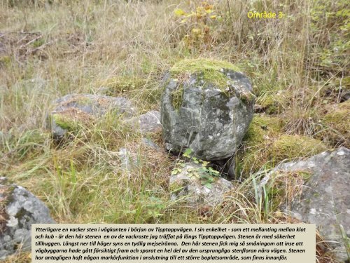 Stenspåren längs Tipptoppvägen  Sven-Inge Windahl 2018 