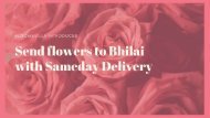 Bloomsvilla Introduces - Send Flowers to Bhilai with Sameday Delivery