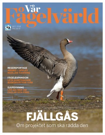 Vår Fågelvärld nr 2 - 2018