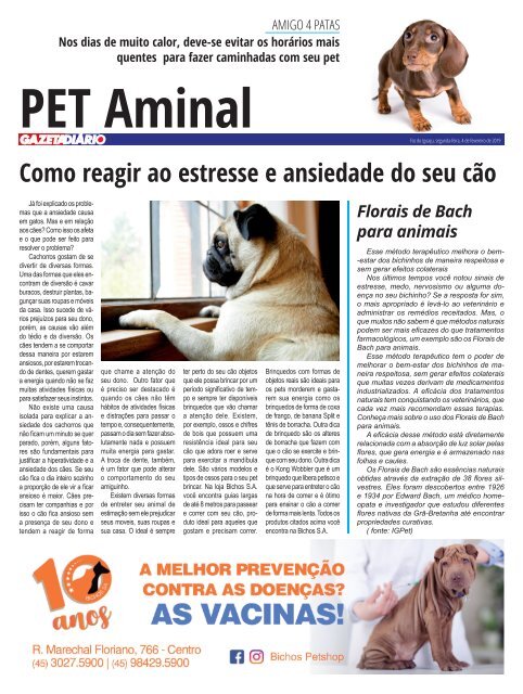 GAZETA DIARIO 790