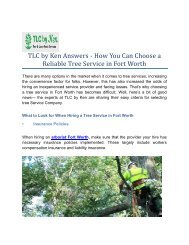 TLC by Ken Answers - How You Can Choose a Reliable Tree Service in Fort Worth