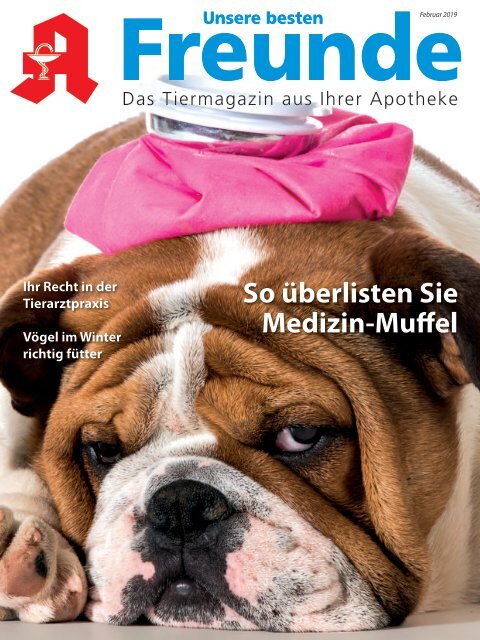 Leseprobe "Unsere besten Freunde" Februar 2019