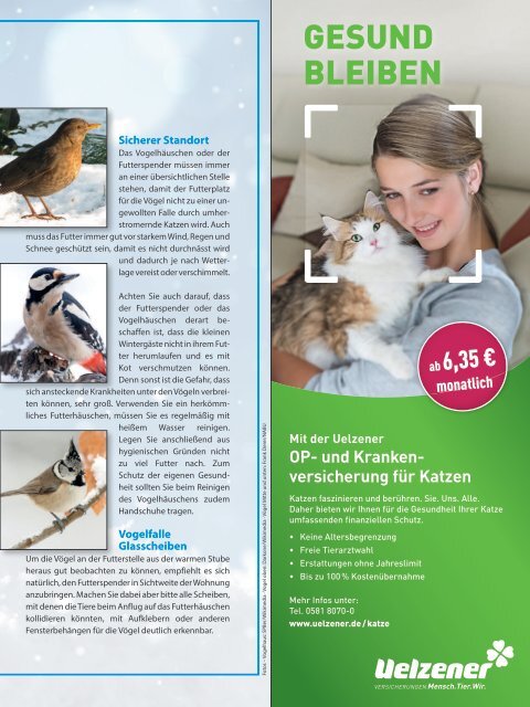 Leseprobe "Unsere besten Freunde" Februar 2019