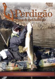 perdigao2-2019