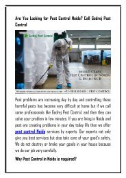 Are You Looking for Pest Control Noida-converted