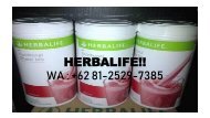 PROMO, WA +62 81-2529-7385, Herbalife Malang Kaskus