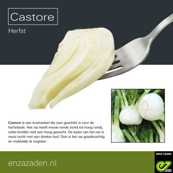 Leaflet Castore 2019
