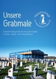 Katalog 2019 Messerschmidt