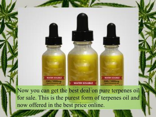 Pure Terpenes Oil For Sale