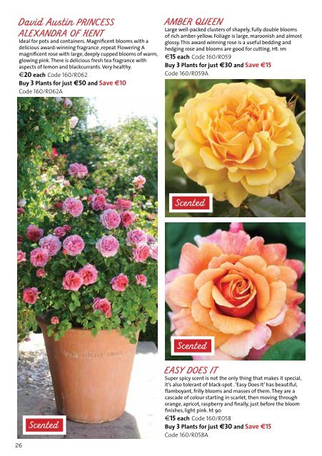 Mr Middleton Garden Shop Spring Plant &amp; Bulb Catalog 2019