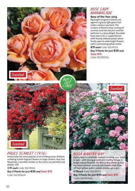 Mr Middleton Garden Shop Spring Plant &amp; Bulb Catalog 2019