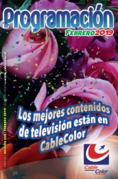 CableFEBRERO_2019