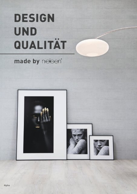 Nielsen Alu Wechselrahmen