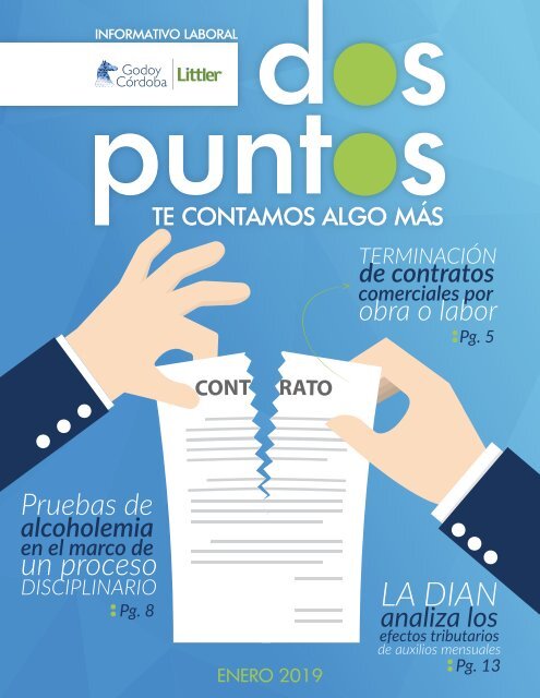 Dos:Puntos - Informativo Laboral Godoy Córdoba - Enero 2019