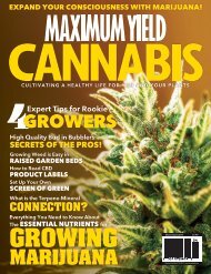Maximum Yield Cannabis | USA Edition | Vol. 02 Issue 01 2019