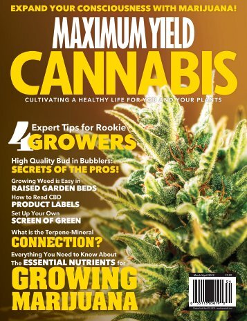 Maximum Yield Cannabis | USA Edition | Vol. 02 Issue 01 2019
