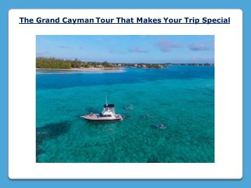 The Grand Cayman Tour