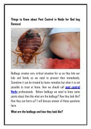 Things to Know about Pest Control in Noida for Bed bug Removal