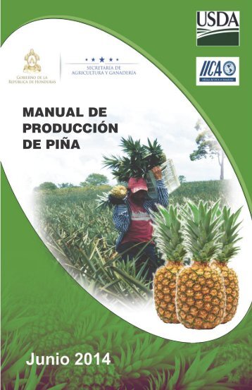 Manual-de-Pina