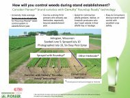 How will you control weeds during stand establishment? - Pioneer