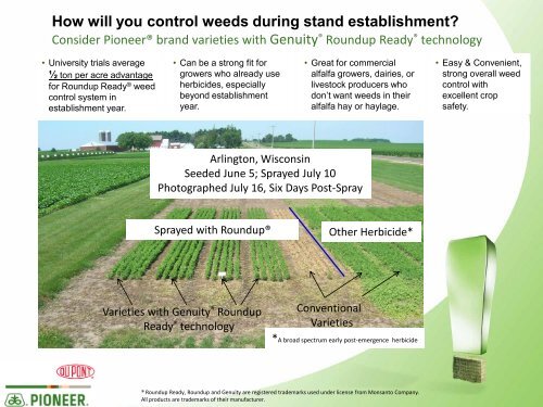 How will you control weeds during stand establishment? - Pioneer
