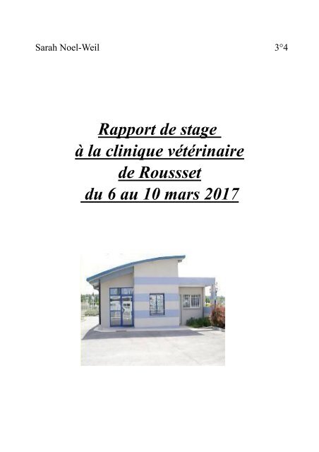Noel Weil 3 4 Rapport De Stage