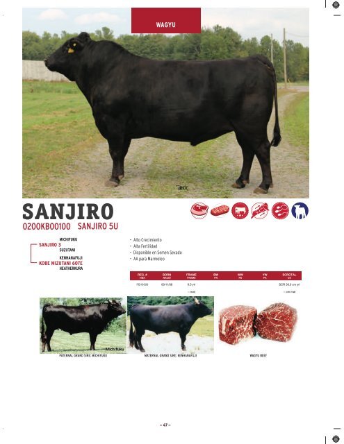 Semex-ReproMax Catalogo 2019