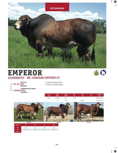 Semex-ReproMax Catalogo 2019