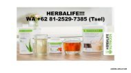 PROMO, WA +62 81-2529-7385, Herbalife Malang