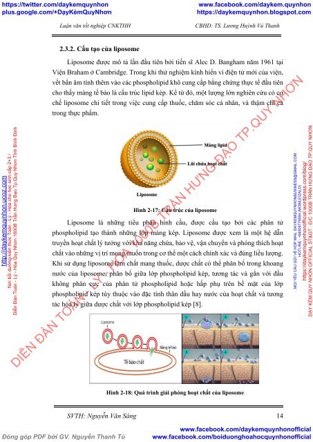 Trích ly hợp chất curcuminoid trong củ nghệ vàng và tạo hệ liposome từ dịch chiết này (2017)