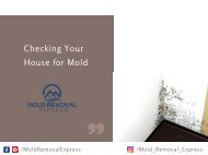 Checking Your House for Mold