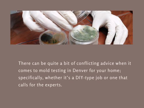Checking Your House for Mold