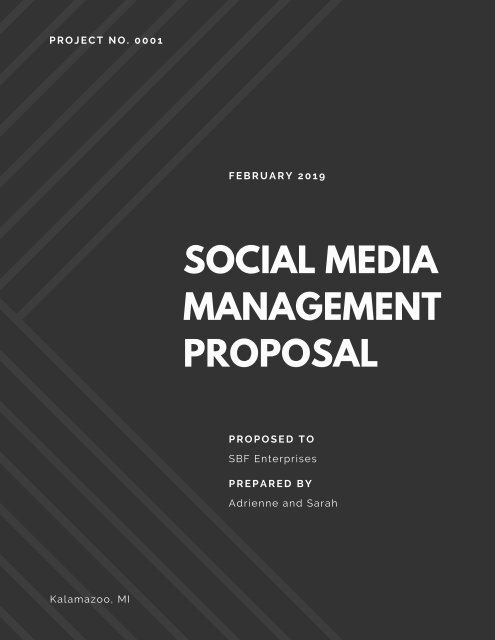 social media management proposal
