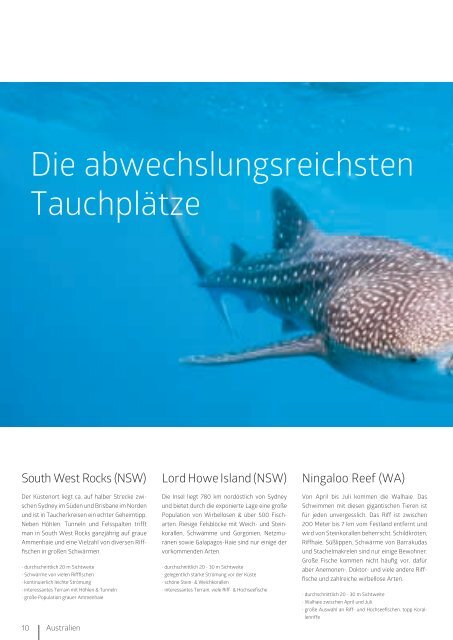 2019-Tauchen-Katalog