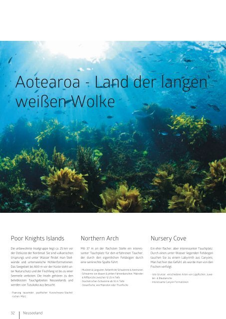 2019-Tauchen-Katalog